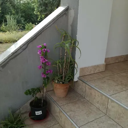 Milena Apartment