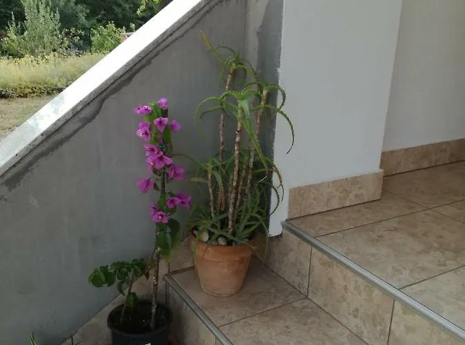 Milena Apartment
